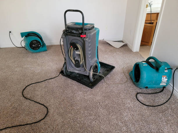 Best Flood damage cleanup  in Newcomerstown, OH