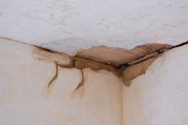 Best Flooded house restoration  in Newcomerstown, OH