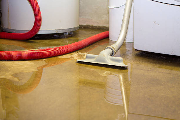 Best Fire Damage Restoration  in Newcomerstown, OH
