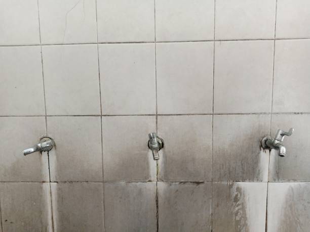 Best Water damage cleanup near me  in Newcomerstown, OH