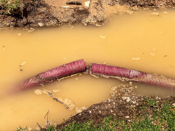 Best 24/7 water damage repair  in Newcomerstown, OH